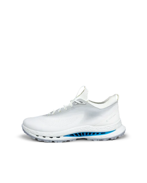 ECCO M Golf Biom C5