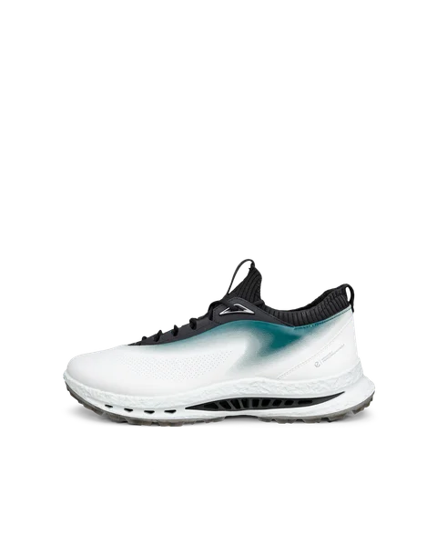 ECCO M Golf BIOM C5